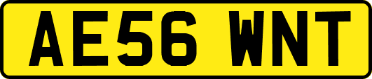 AE56WNT