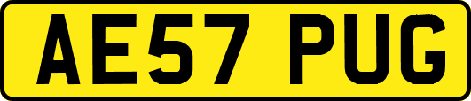 AE57PUG
