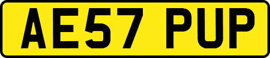 AE57PUP