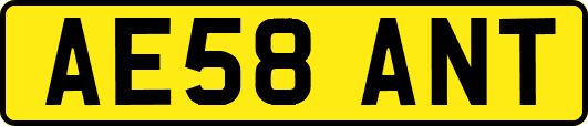 AE58ANT