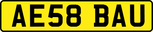 AE58BAU