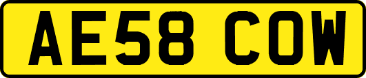 AE58COW