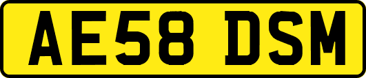 AE58DSM
