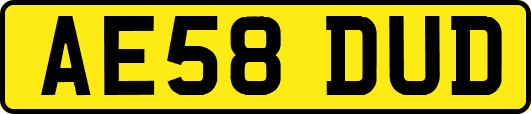 AE58DUD