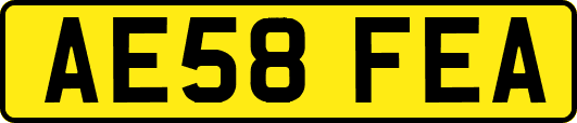 AE58FEA