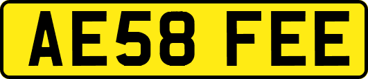 AE58FEE