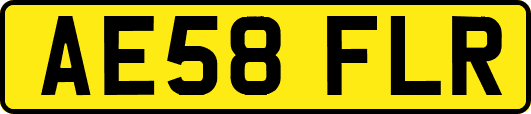 AE58FLR