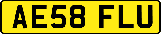 AE58FLU