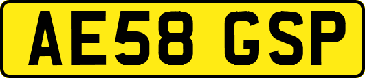 AE58GSP