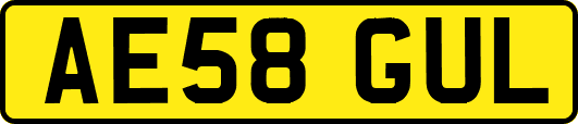 AE58GUL