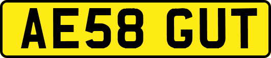AE58GUT
