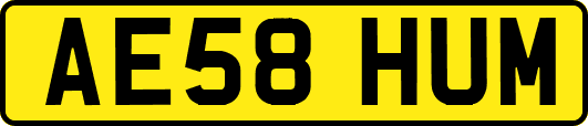 AE58HUM