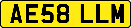 AE58LLM