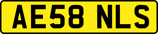 AE58NLS
