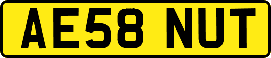 AE58NUT