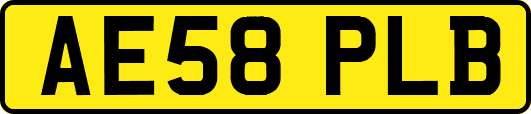 AE58PLB