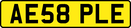 AE58PLE