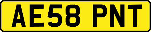 AE58PNT