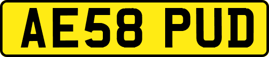 AE58PUD