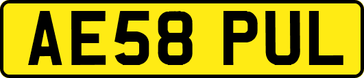 AE58PUL