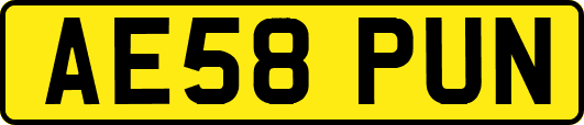 AE58PUN