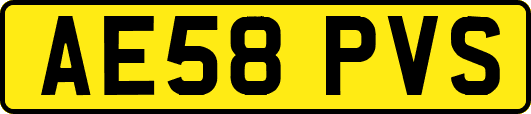 AE58PVS