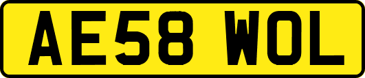 AE58WOL
