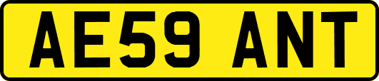 AE59ANT