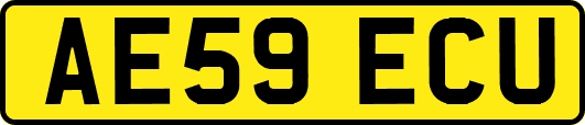 AE59ECU