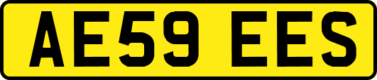 AE59EES