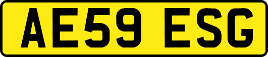 AE59ESG