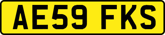 AE59FKS