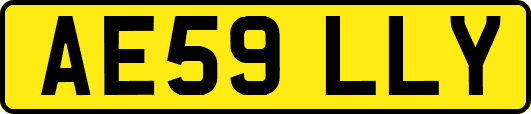 AE59LLY