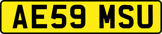 AE59MSU
