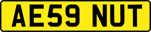 AE59NUT