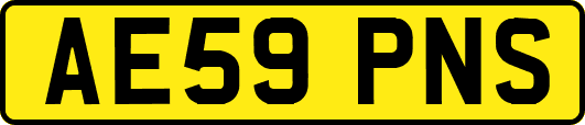 AE59PNS