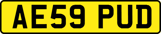 AE59PUD
