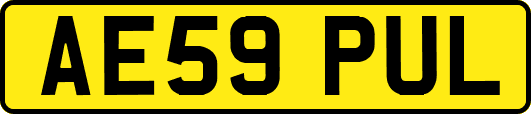 AE59PUL