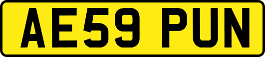 AE59PUN