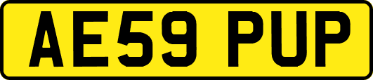 AE59PUP