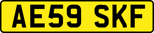 AE59SKF