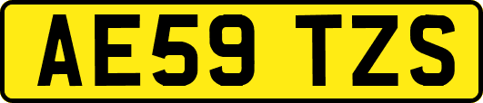 AE59TZS