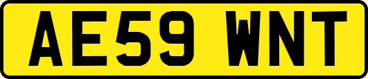 AE59WNT