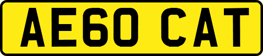 AE60CAT