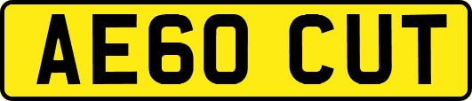 AE60CUT