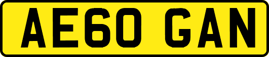 AE60GAN