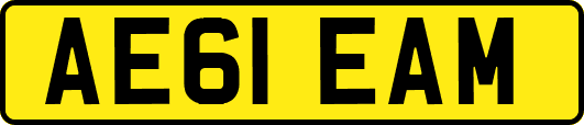 AE61EAM