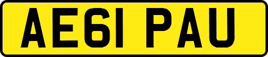 AE61PAU