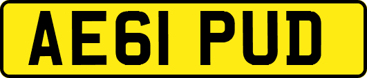 AE61PUD
