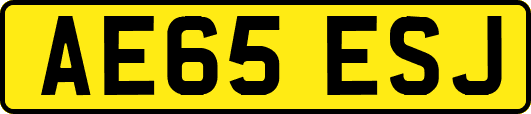 AE65ESJ